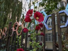 -元大都城垣遗址公园