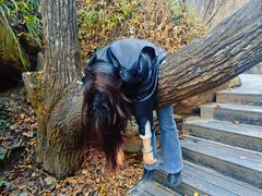 -牛背梁国家森林公园