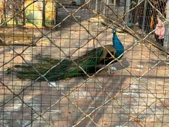 -长白岛森林公园