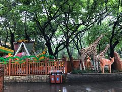 -晓港公园