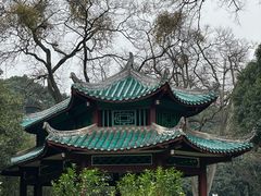 -柳侯公园