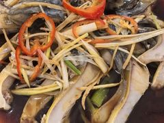 -煲来饱去冷水鱼