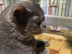 -小时光咖啡馆(开森度假森林店)