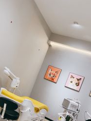 -洗脸猫·洗脸吧