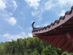 -长沙黑麋峰国家森林公园