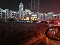 -沈阳于洪碧桂园凤凰酒店