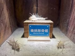 -南昌海洋公园