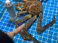 -旺角小渔村(二马路店)