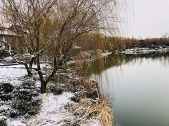 -济南大明湖景区