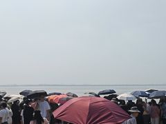 -观潮胜地公园