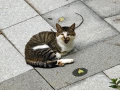 -江苏省太湖干部疗养院