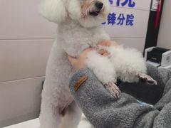 -宠颐生宠物医院·综合诊疗(先锋分院)