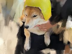 柚子月月-小时光咖啡馆(北锣鼓巷店)