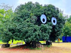 -祥源·阜阳生态乐园