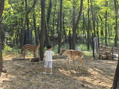 -南戴河国际娱乐中心