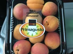 -圣马尔谷圣殿宗主教座堂