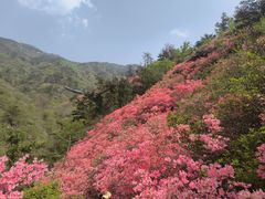 -木兰云雾山