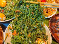 -阳阳老火锅(小南门店)