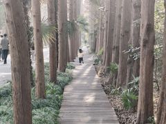 -同里国家湿地公园