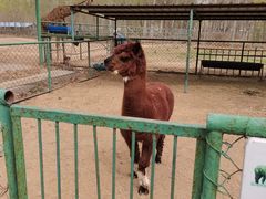 -秦皇岛野生动物园