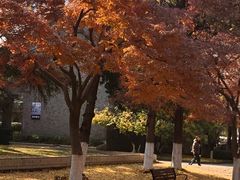 -苏州大学(天赐庄校区)