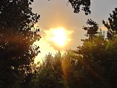 -西塔大冷面(市府大路店)