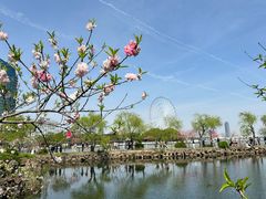 -无锡蠡湖国家湿地公园-蠡园