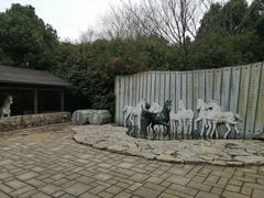 -白马涧龙池景区