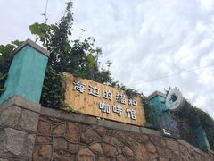 iphone_upload_pic-海边的猫和咖啡馆