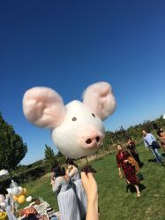 -圣露庄园·草坪婚礼·宴会厅·会议