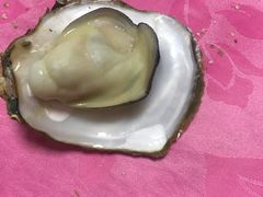 -蠔园山庄(礼乐食街店)