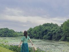 -艾溪湖湿地公园