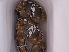 -七的湖·晚芳亭·阳澄湖农家菜·大闸蟹(莲花岛店)