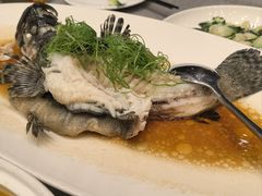 -海景壹号大酒店(滨湖店)