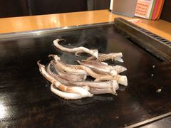 -鹤桥风月(梅田)