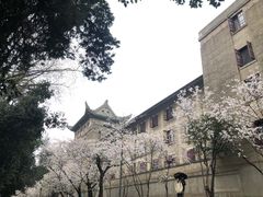 -武汉大学-樱园