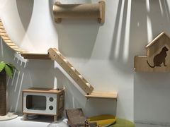 -COLOR PETS 撸猫馆·购猫·猫咖(长风大悦城店)