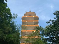 -鹅岭公园瞰胜楼