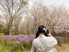-上海海湾国家森林公园