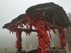 -大围山国家森林公园