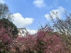 -南山植物园