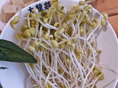 -大龙燚火锅