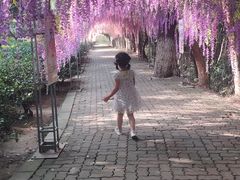 -宝岩生态观光园