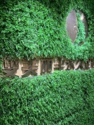 -变美丽半永久纹眉连锁·机器野生眉•洗眉