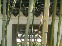 -交大留园(东川路店)