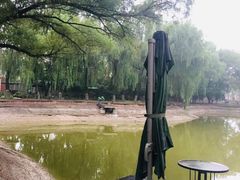 -槐房钓鱼公园