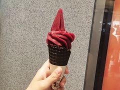 冰山杨梅脆筒-喜茶(上海正大广场店)