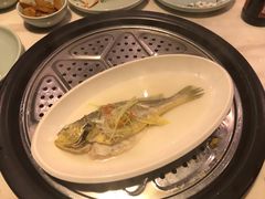 -黄寺蒸汽海鲜(黄寺大街店)