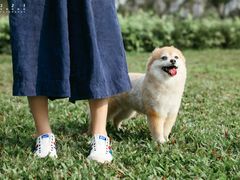 -二沙岛艺术公园