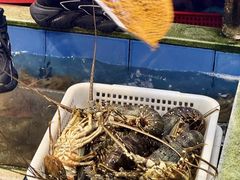 -东江海鲜大排档·潮汕菜·砂锅粥